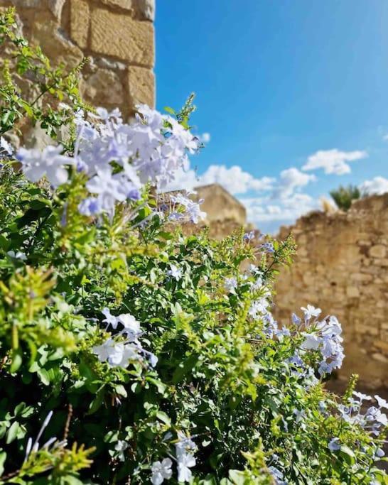 Casa Al Plumbago Villa Termini Imerese Kültér fotó